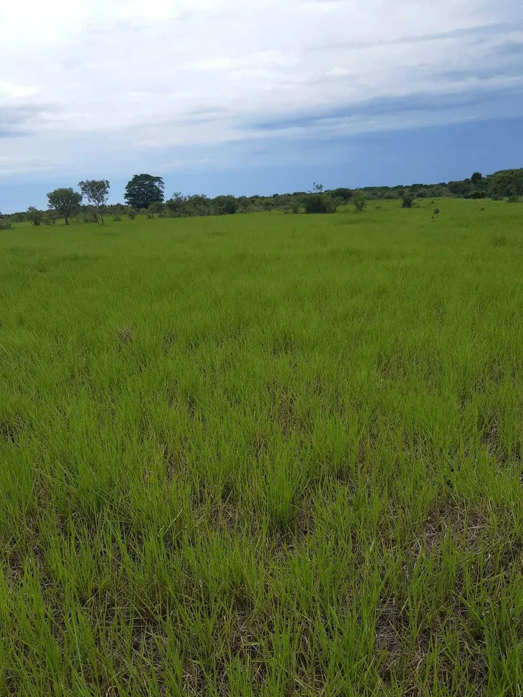 Fazenda, 1 quarto - Foto 12
