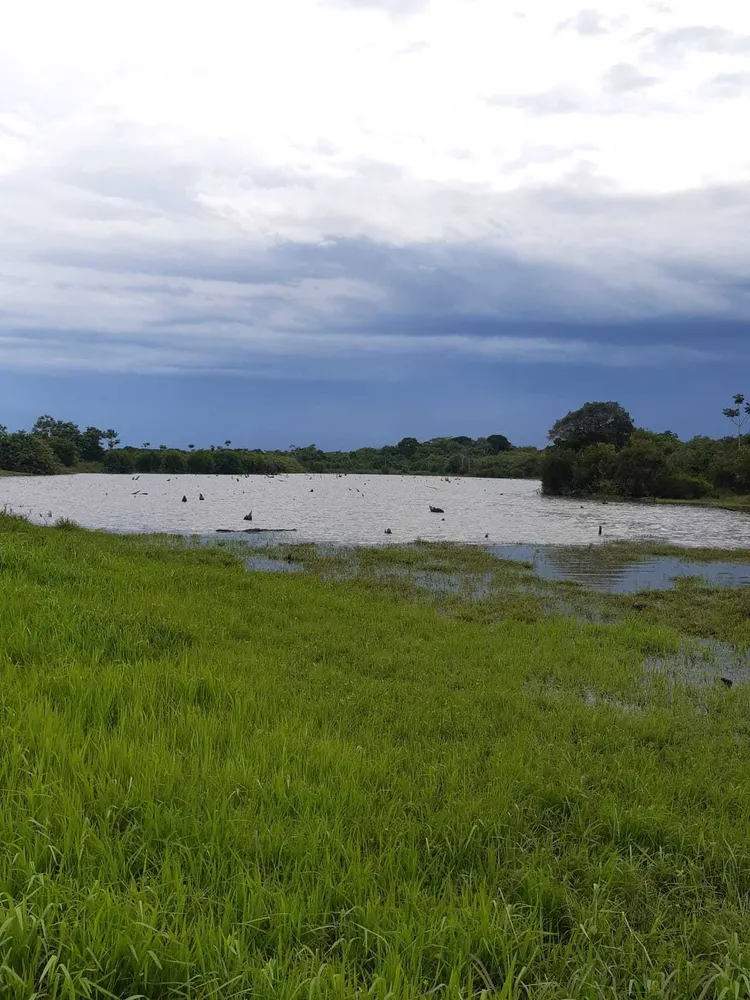 Fazenda, 1 quarto - Foto 3