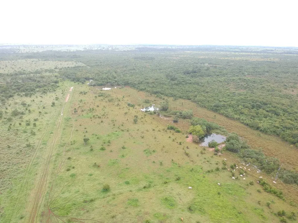 Fazenda, 1 quarto - Foto 7