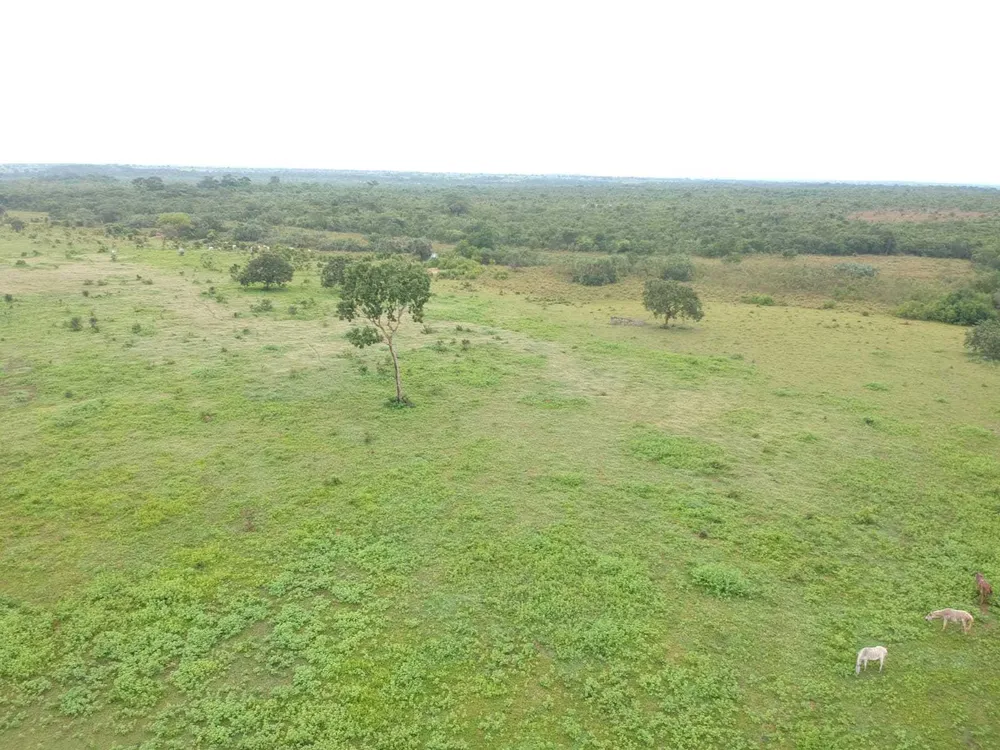 Fazenda, 1 quarto - Foto 1