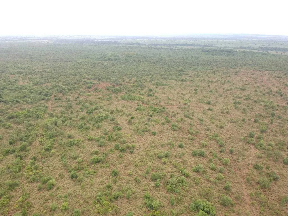 Fazenda, 1 quarto - Foto 16