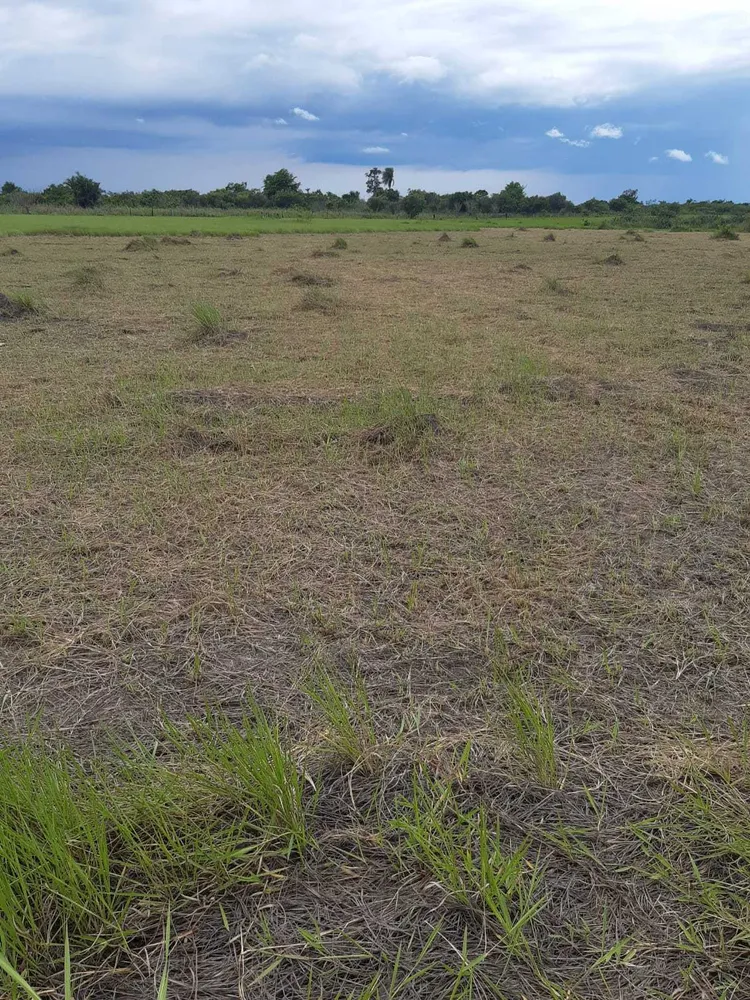 Fazenda, 1 quarto - Foto 10
