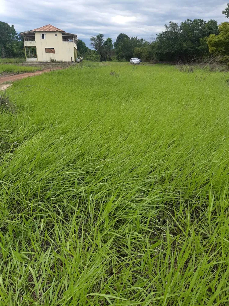 Fazenda, 1 quarto - Foto 9