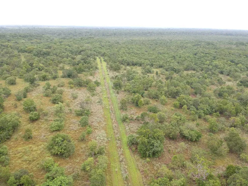 Fazenda, 1 quarto - Foto 10