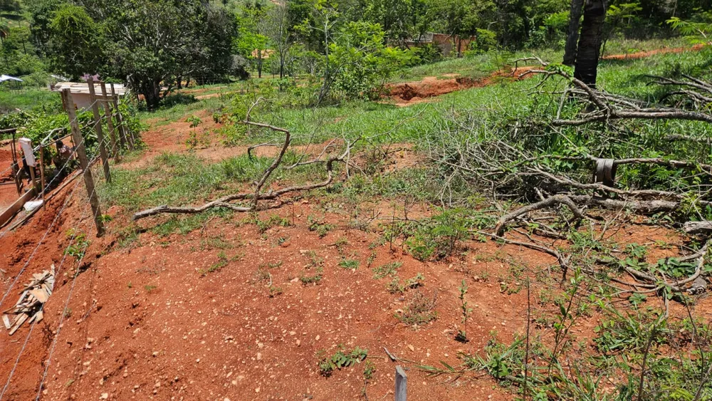 Terreno, 1000 m² - Foto 9