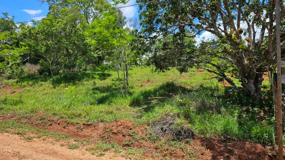 Terreno, 1000 m² - Foto 8