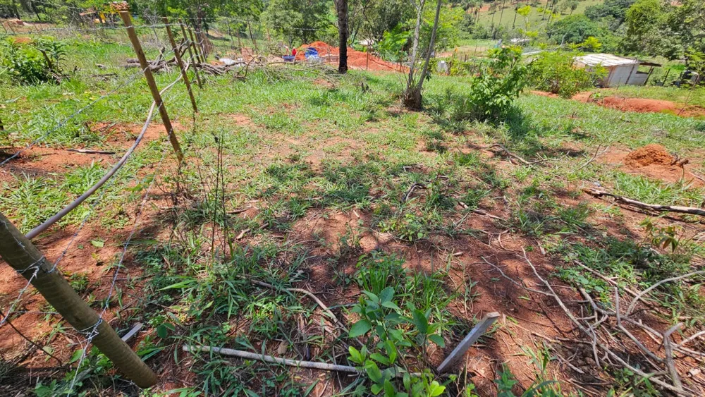 Terreno, 1000 m² - Foto 13