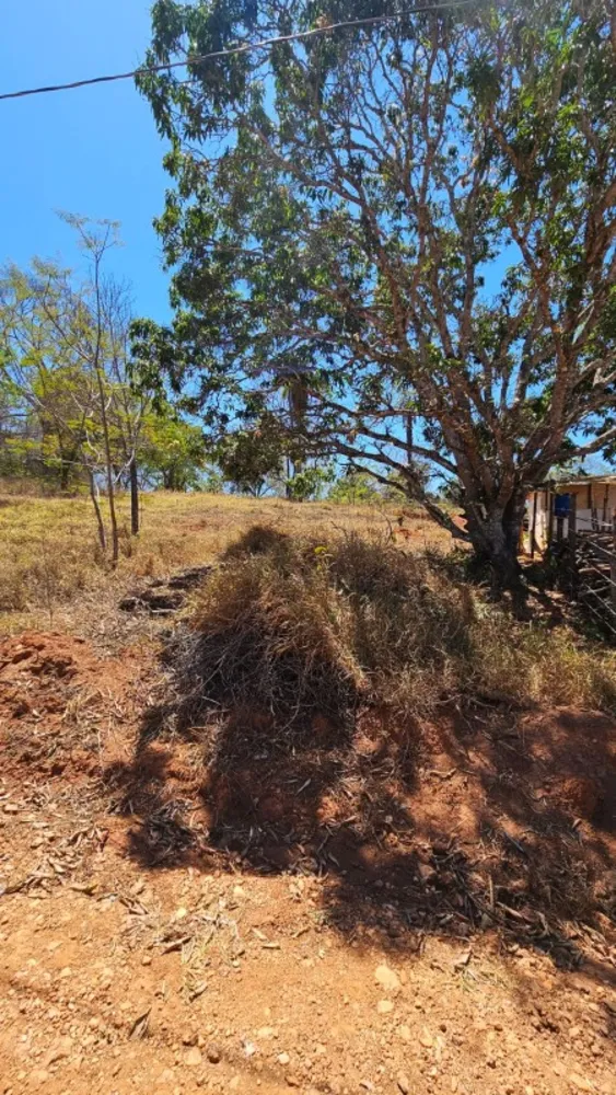 Terreno, 1000 m² - Foto 4