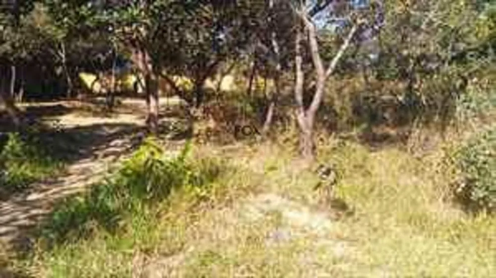 Terreno, 1000 m² - Foto 1