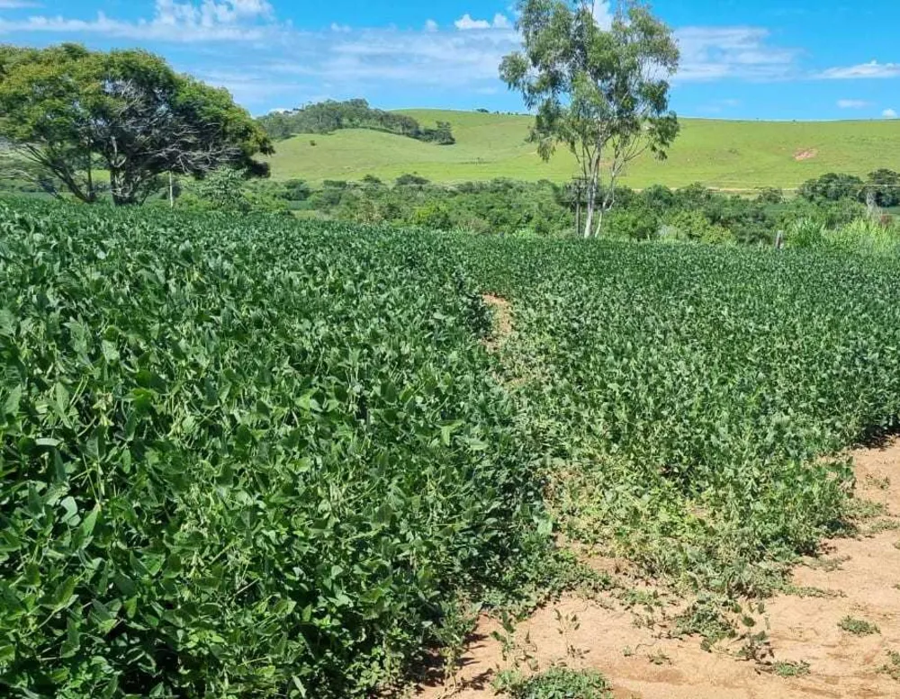 Fazenda, 145 hectares - Foto 3