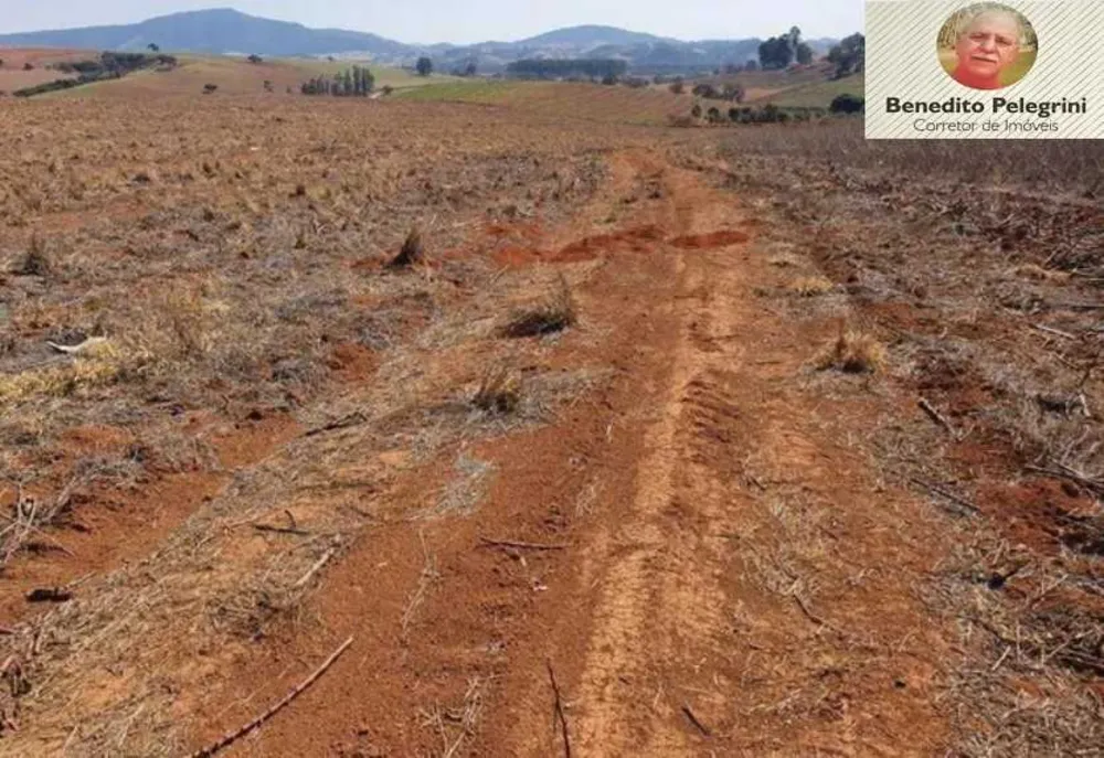 Fazenda, 145 hectares - Foto 4
