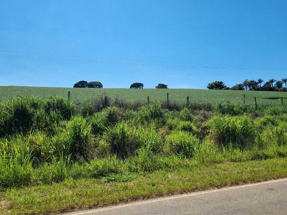Fazenda, 145 hectares - Foto 6