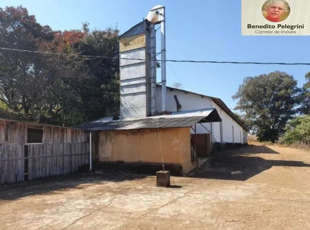 Fazenda, 145 hectares - Foto 15