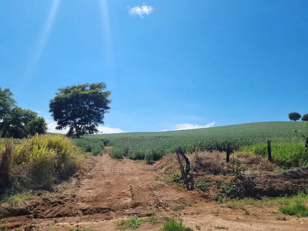 Fazenda, 145 hectares - Foto 5