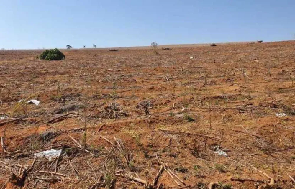 Fazenda, 145 hectares - Foto 13