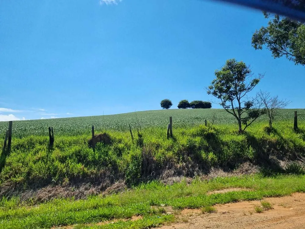 Fazenda, 145 hectares - Foto 9