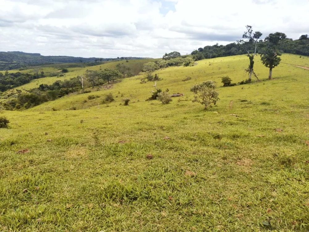 Chácara à venda com 2 quartos, 1880000m² - Foto 3