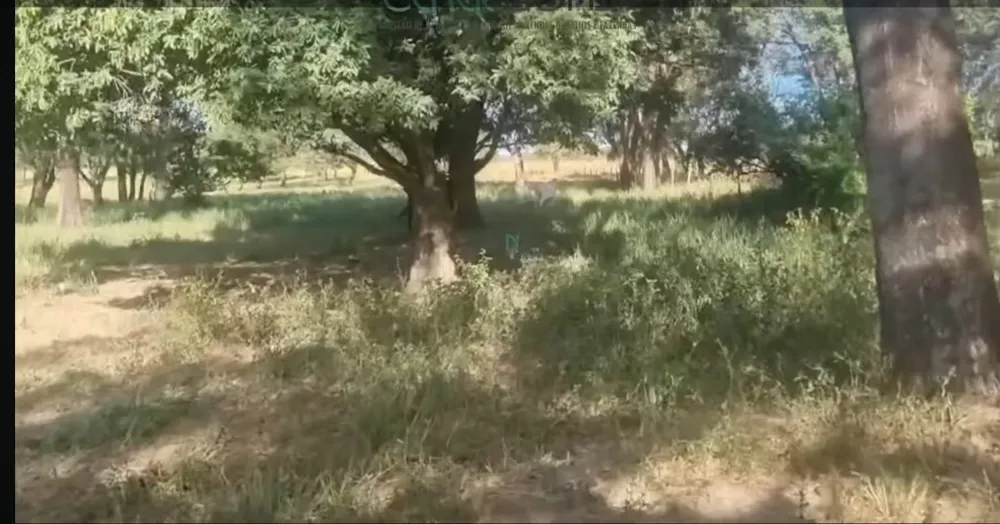 Fazenda, 1 quarto - Foto 10