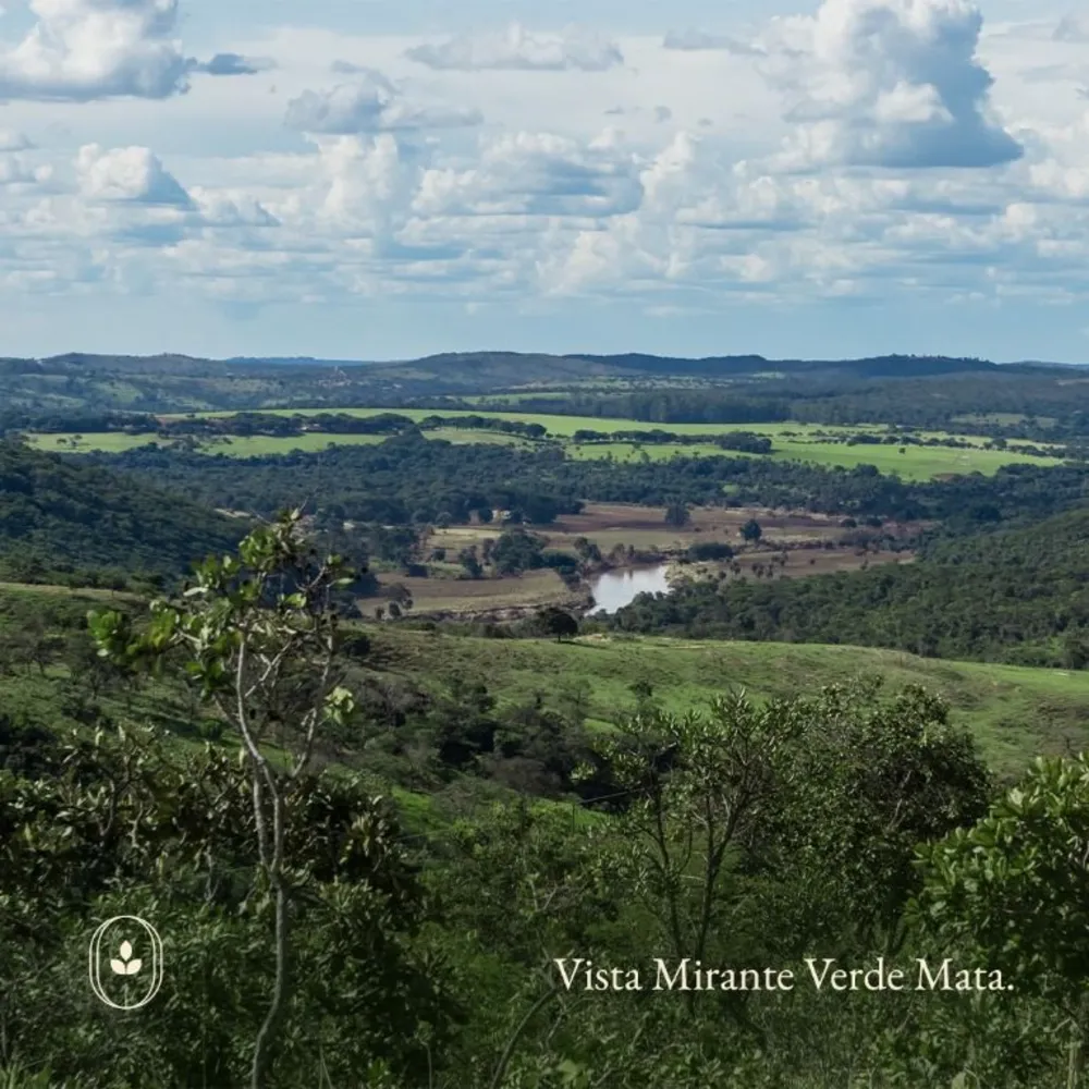 Terreno, 20000 m² - Foto 4