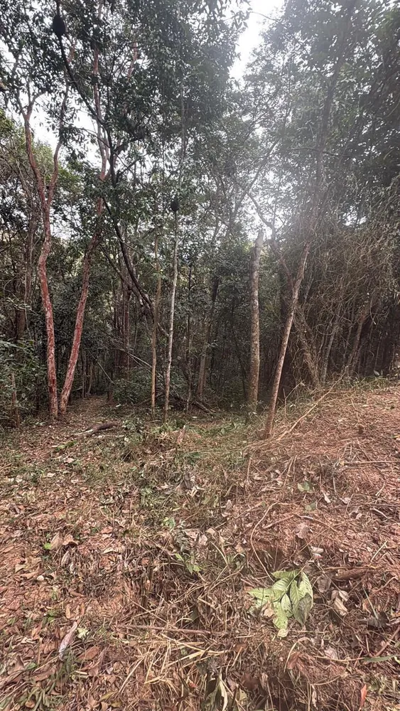Terreno, 3000 m² - Foto 2
