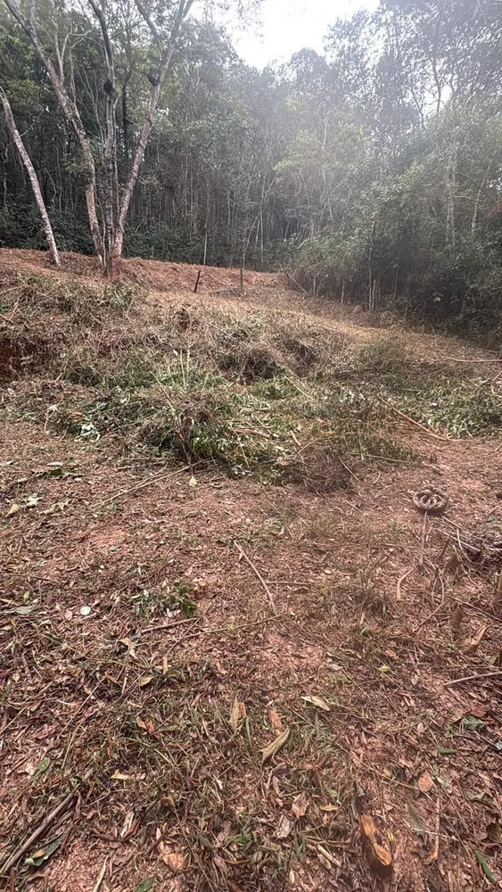 Terreno, 3000 m² - Foto 1