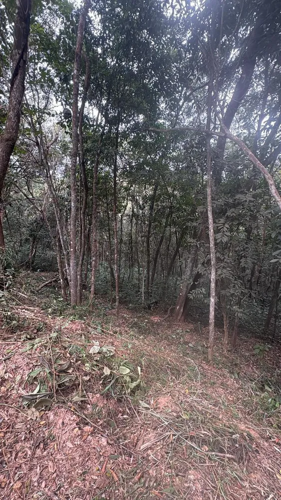Terreno, 3000 m² - Foto 3