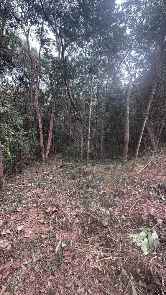 Terreno, 3000 m² - Foto 4