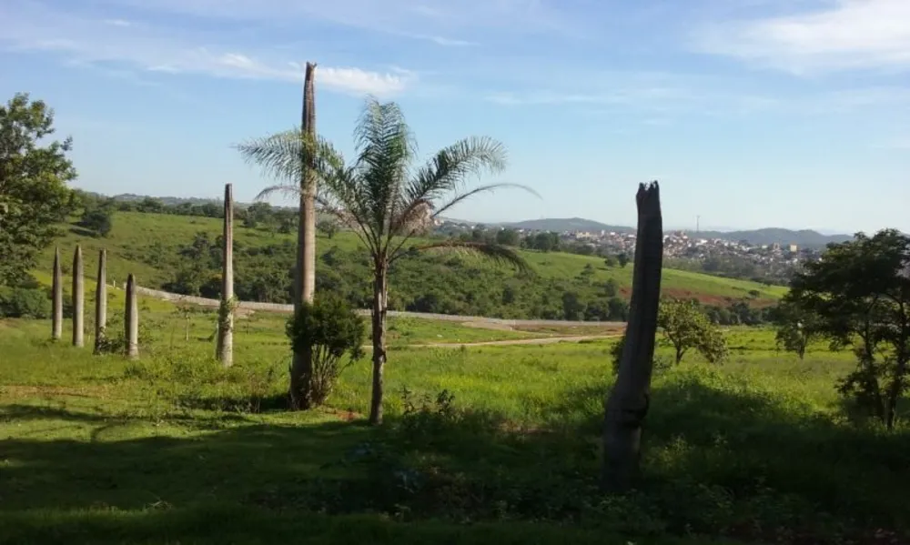 Terreno, 1004 m² - Foto 3