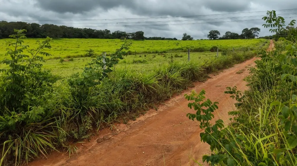 Fazenda, 201 hectares - Foto 6