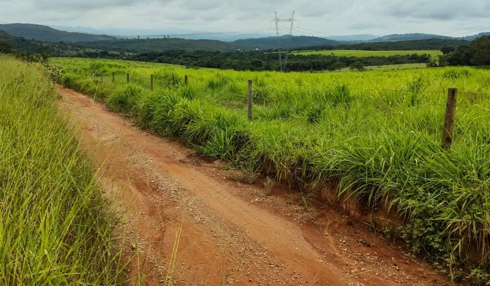 Fazenda, 201 hectares - Foto 10