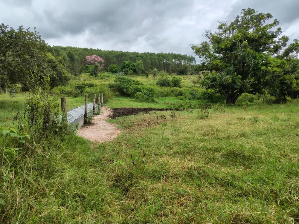 Fazenda, 201 hectares - Foto 2