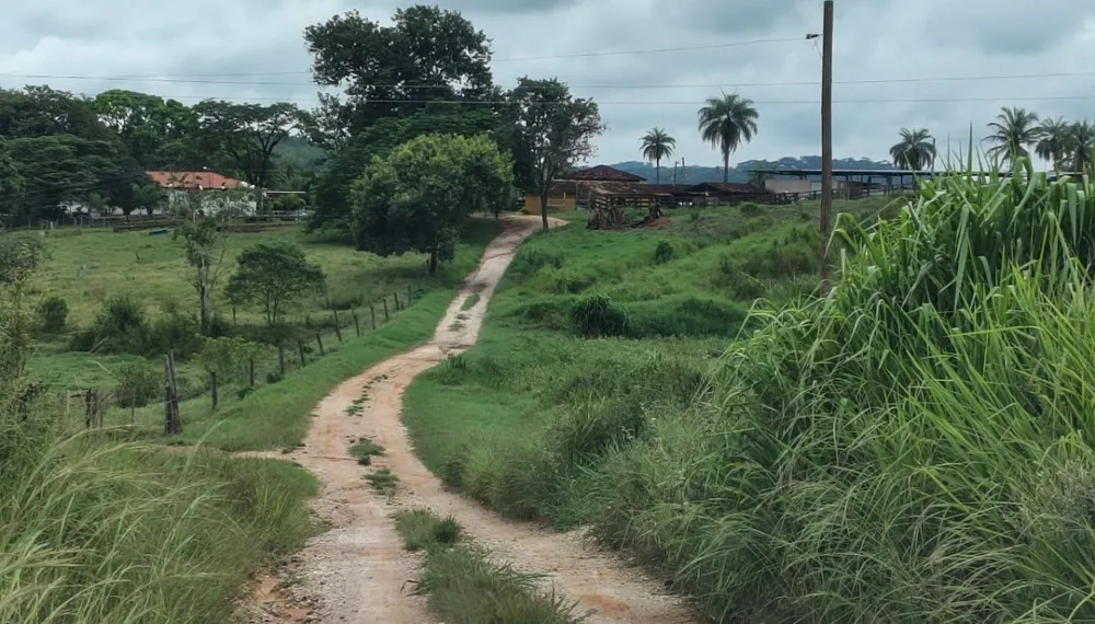 Fazenda, 201 hectares - Foto 16