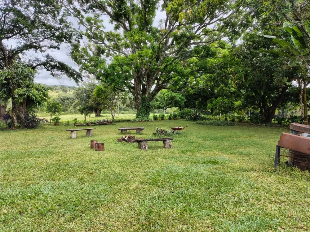 Fazenda, 201 hectares - Foto 15