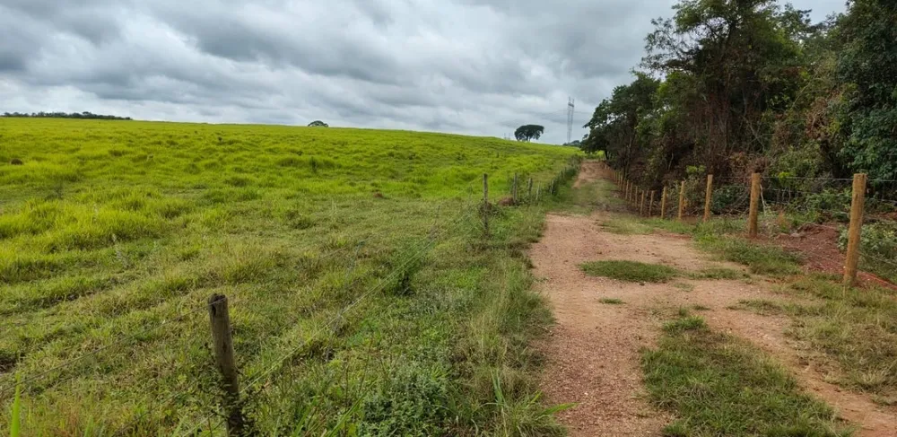 Fazenda, 201 hectares - Foto 8