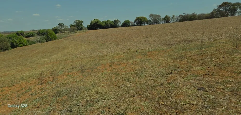 Fazenda, 54 hectares - Foto 2