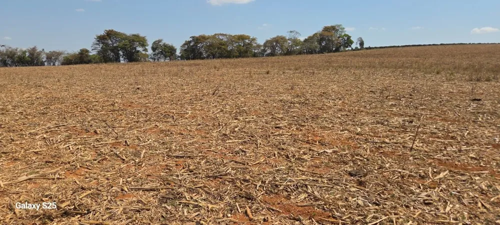 Fazenda, 54 hectares - Foto 7