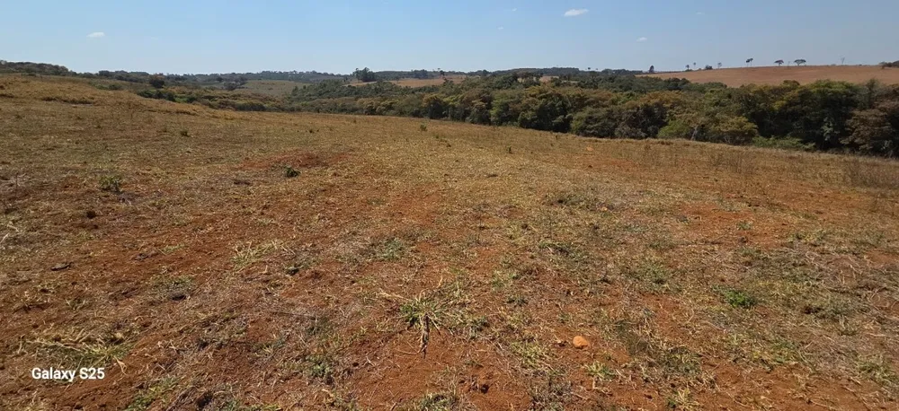 Fazenda, 54 hectares - Foto 4
