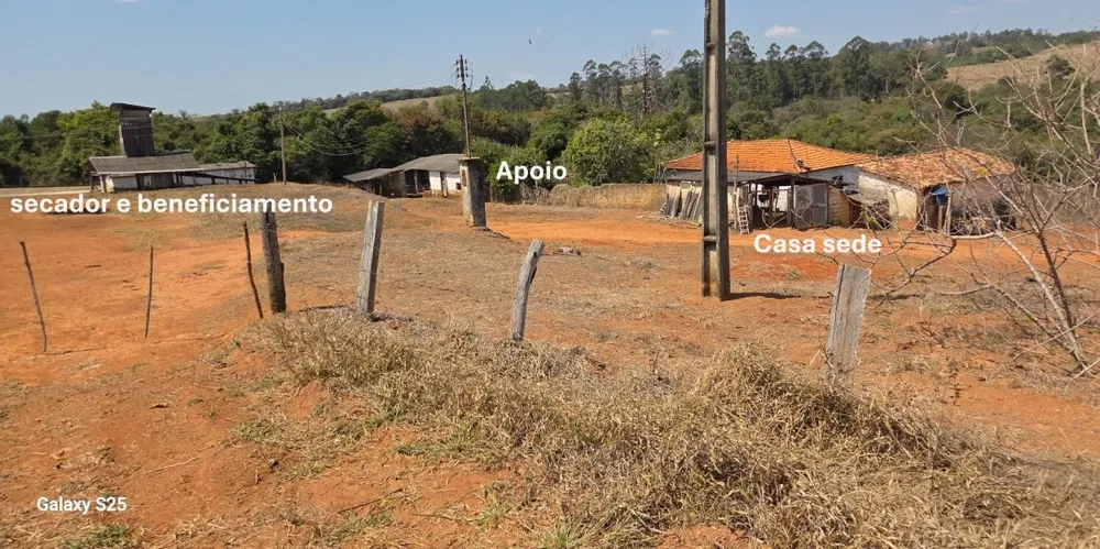 Fazenda, 54 hectares - Foto 3