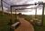 Terreno, 241 m² - Foto 3