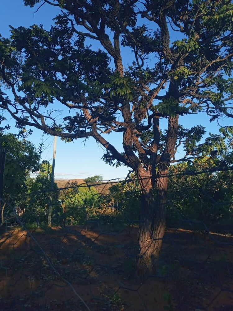 Terreno à venda, 1000m² - Foto 3