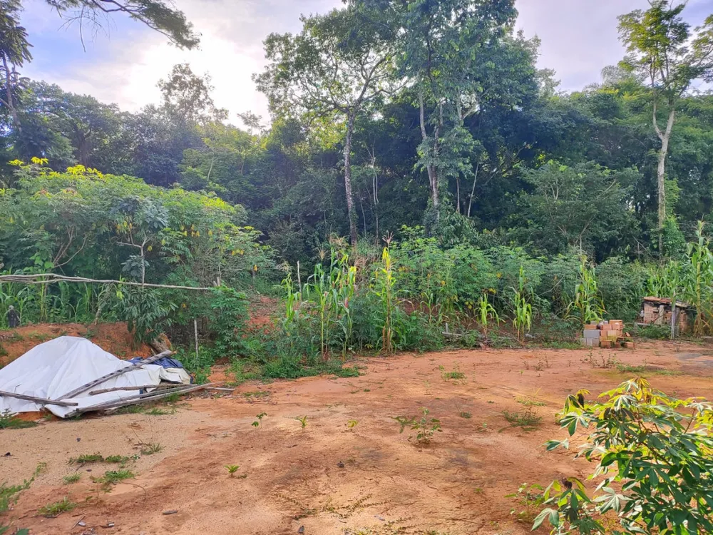 Chácara, 1 quarto, 3000 m² - Foto 16