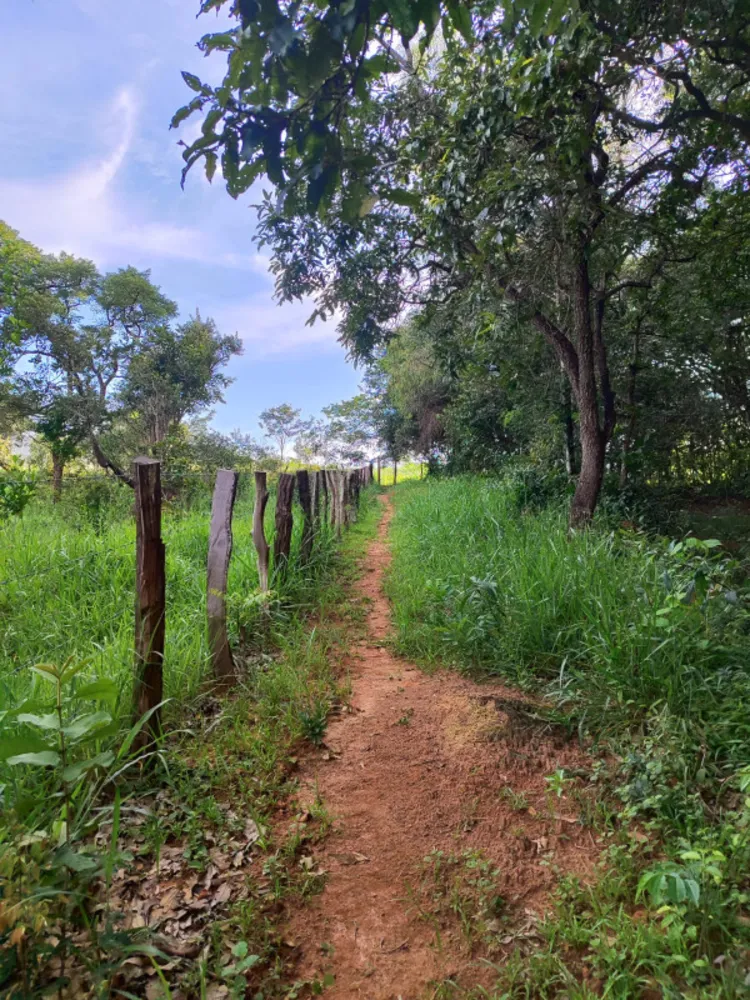 Chácara, 1 quarto, 3000 m² - Foto 4