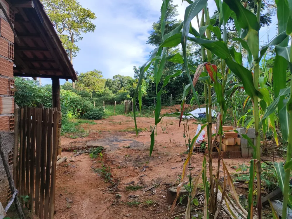 Chácara, 1 quarto, 3000 m² - Foto 6