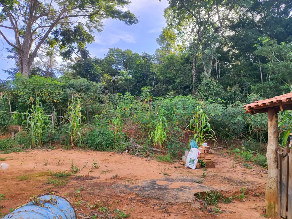 Chácara, 1 quarto, 3000 m² - Foto 6