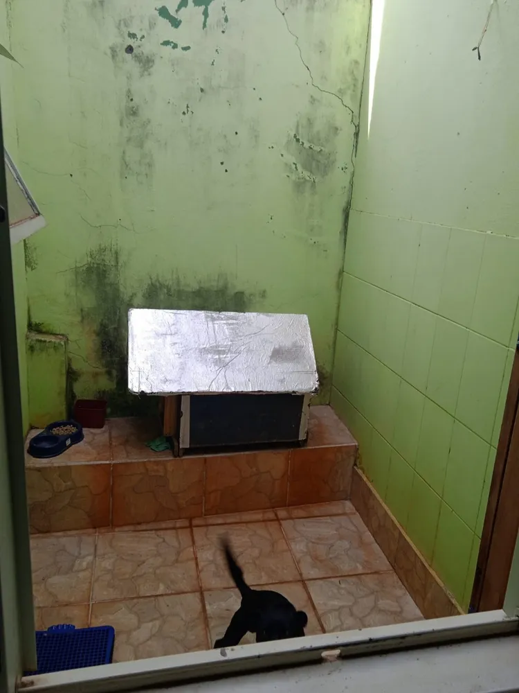 Casa, 3 quartos, 160 m² - Foto 7