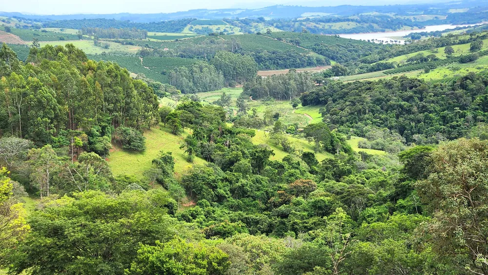 Fazenda, 57 hectares - Foto 1