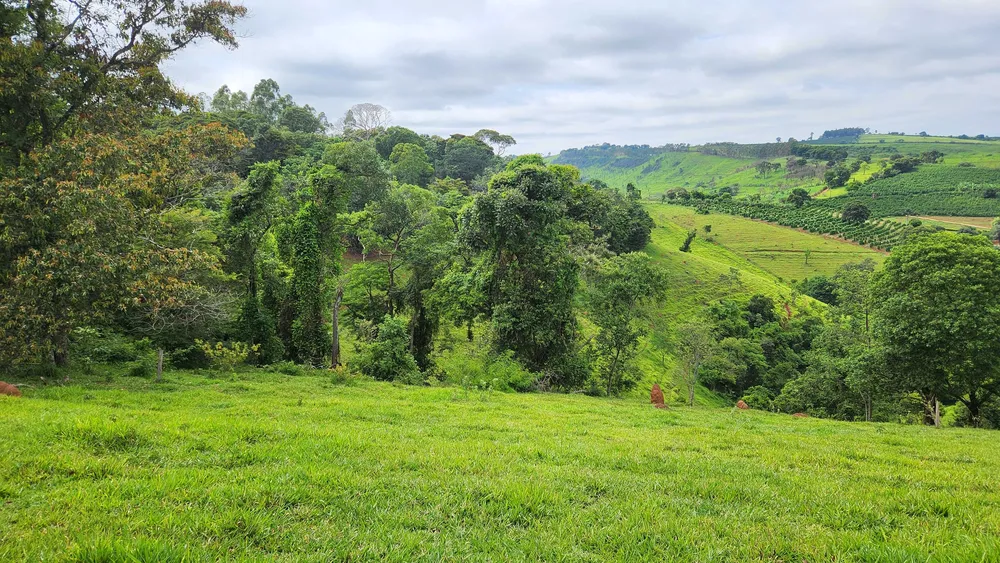 Fazenda, 57 hectares - Foto 2