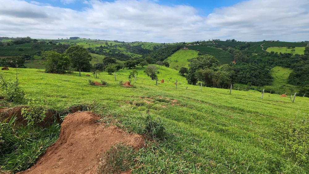 Fazenda, 57 hectares - Foto 5