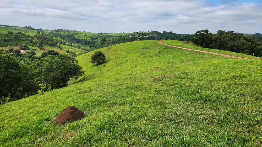 Fazenda, 57 hectares - Foto 3