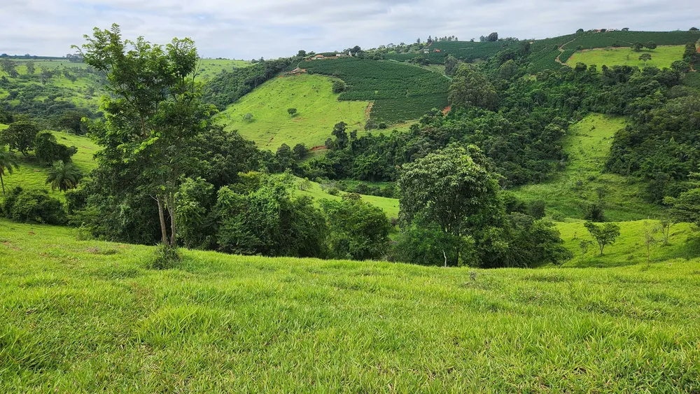 Fazenda, 57 hectares - Foto 6